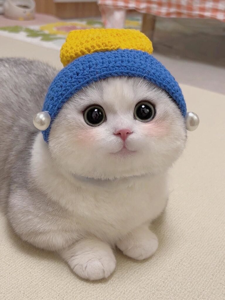 Why Does My Cat Bite Me?（Reasons & Solutions）
