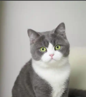 Does my cat think I’m dead when I sleep?